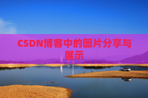 CSDN博客中的图片分享与展示